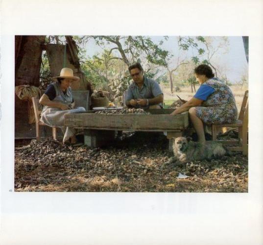 LAMINA V19601: Campesinos pelando almendras en Ibiza