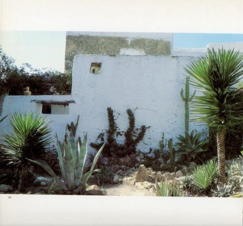 LAMINA V19605: Jardin con cactus en Ibiza