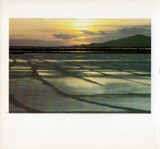 LAMINA V19613: Salinas en Ibiza