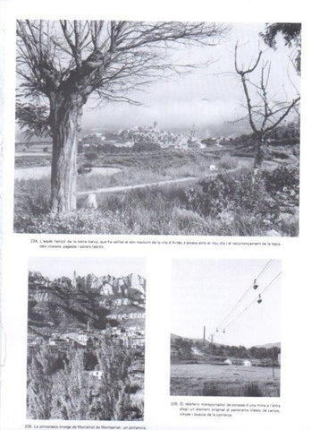 LAMINA V19383: Vista de la vila d'Artes