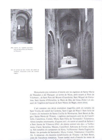 LAMINA V19385: Temple de Sant Vicenç del castell de Cardona