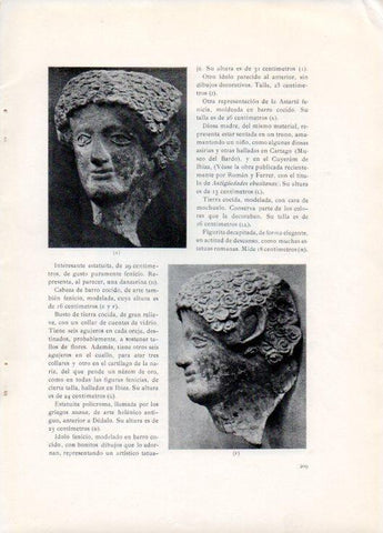 LAMINA V19799: Necropolis Puig des Molins. Cabeza fenicia
