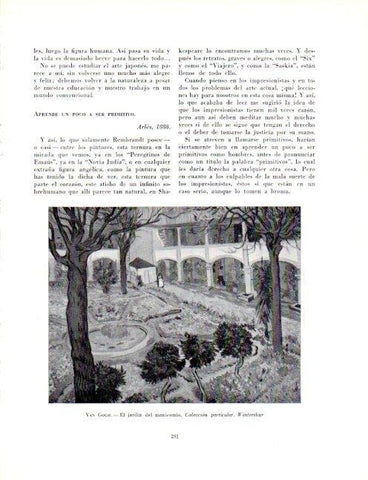 LAMINA V19095: El jardin del manicomio por Van Gogh