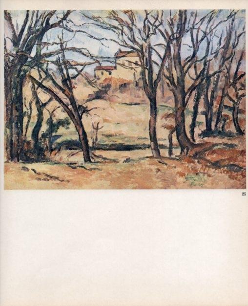 LAMINA V18966: Cezanne. Trees and houses
