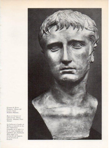 LAMINA V19269: Busto de Octavio