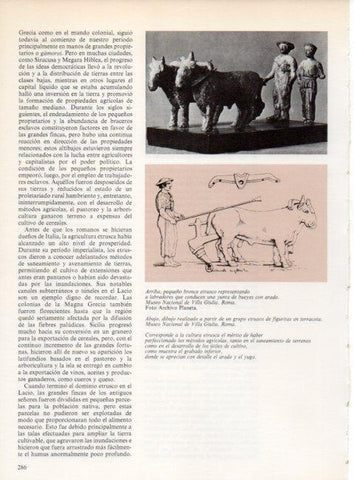LAMINA V19277: Labradores con yunta de bueyes bronce etrusco