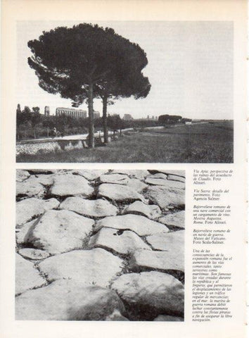 LAMINA V19284: Vista del acueducto de Claudio en Via Apia 