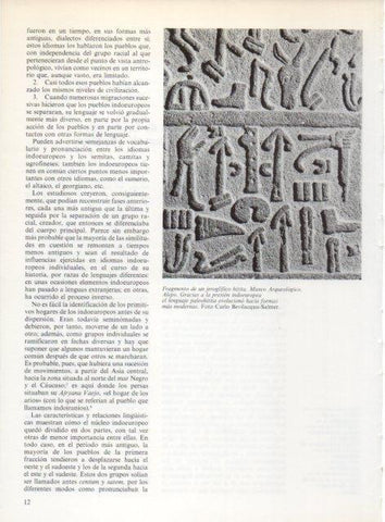 LAMINA V19173: Fragmento jeroglifico hitita, Museo de Alepo