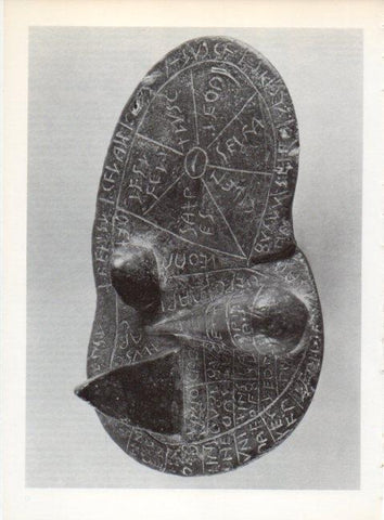 LAMINA V19184: Higado de bronce, Museo Civico
