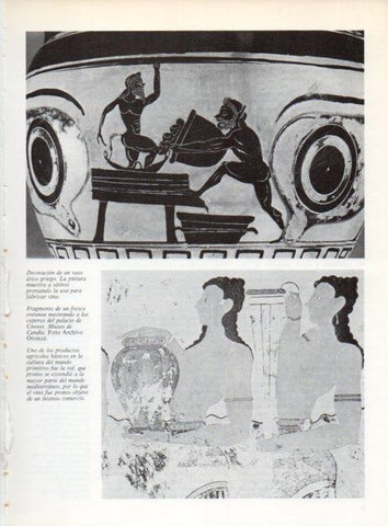 LAMINA V19190: Decoracion de un vaso atico griego