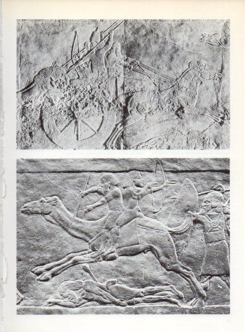 LAMINA V19191: Bajorrelieve asirio del palacio real de Ninive