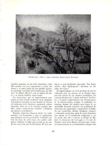 LAMINA V19149: Pinos y robles por Xavier Winthuysen