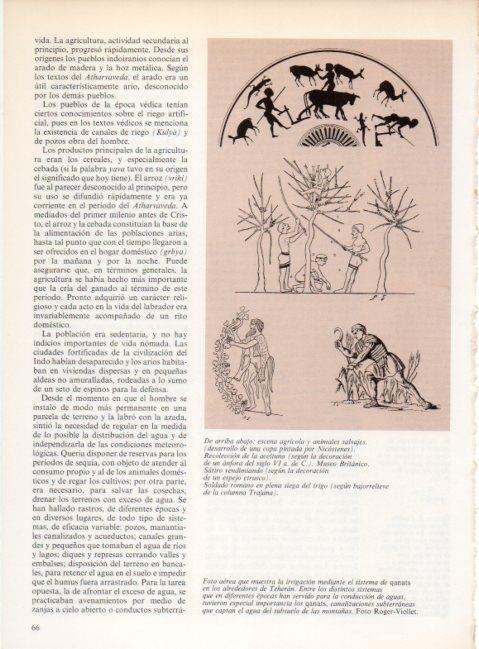 LAMINA V19195: Satiro vendimiando, decoracion de un espejo etrusco