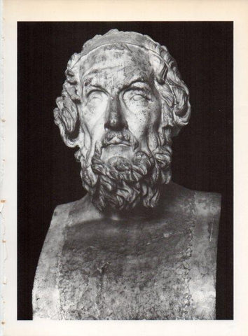 LAMINA V19232: Busto de Homero