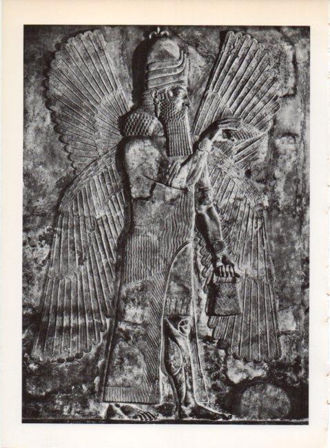 LAMINA V19218: Genio asirio bajorrelieve del palacio de Sargon, Iraq
