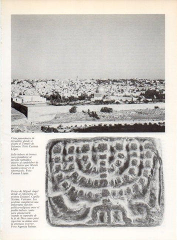 LAMINA V19221: Vista panoramica de Jerusalen