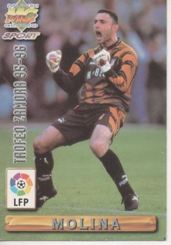 Cromo E003718: Trading Card. Las Fichas de la Liga 96-97. nº 423 Trofeo Zamora 95-96, Molina