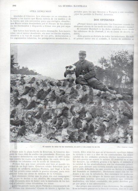 LAMINA V22370: Cazador de ratas de las trincheras y su perro