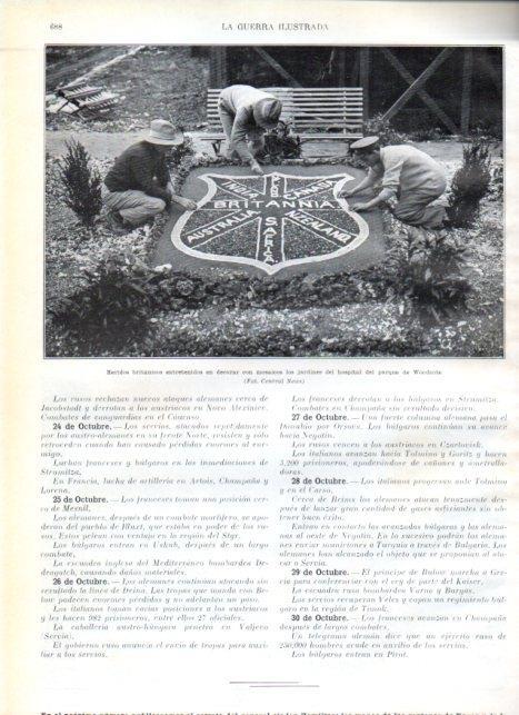 LAMINA V22271: Jardines del hospital del parque de Woodcote