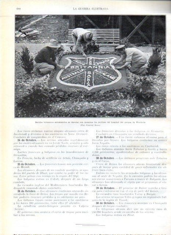LAMINA V22271: Jardines del hospital del parque de Woodcote