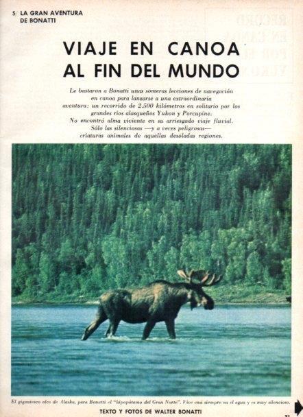 LAMINA V22032: Alce de Alaska