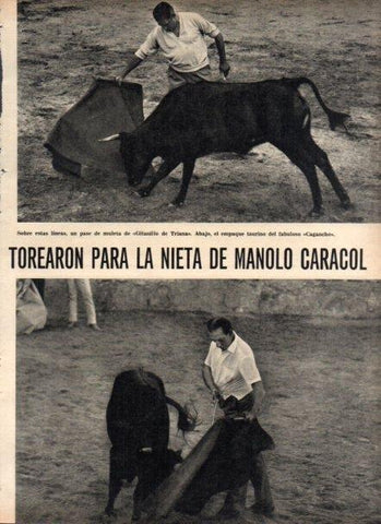 LAMINA V22015: Pase de muleta de Gitanillo de Triana 