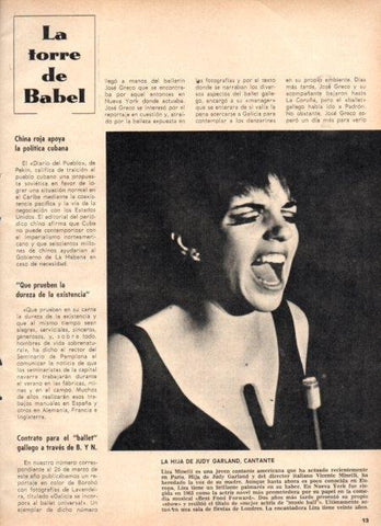 LAMINA V22059: Liza Minelli