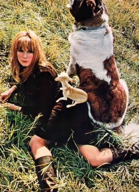 LAMINA V21962: Francoise Dorleac