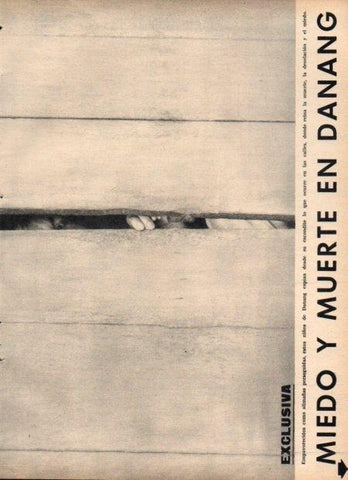 LAMINA V21982: Niños escondidos en Danang