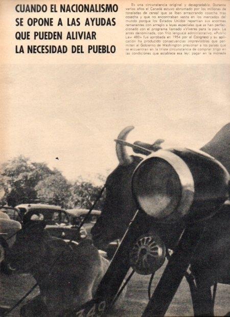 LAMINA V21981: Vacas junto al trafico en las calles de India