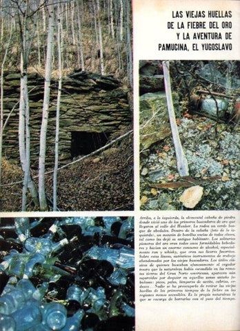 LAMINA V21945: Cabaña de piedra del valle del Hunker