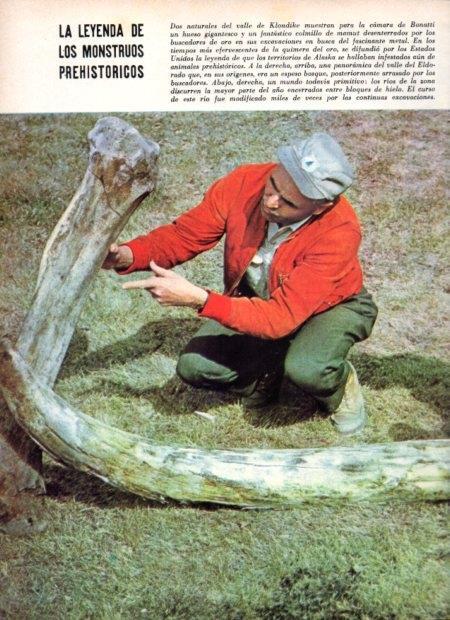 LAMINA V21944: Hueso gigantesco del valle de Klondique