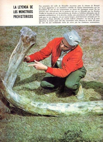 LAMINA V21944: Hueso gigantesco del valle de Klondique