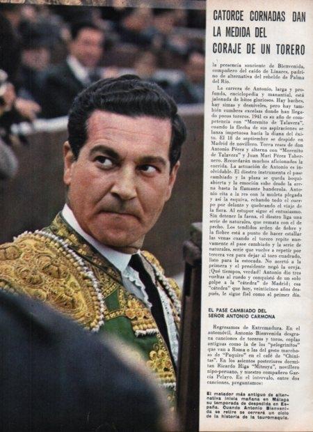 LAMINA V21705: Antonio Bienvenida