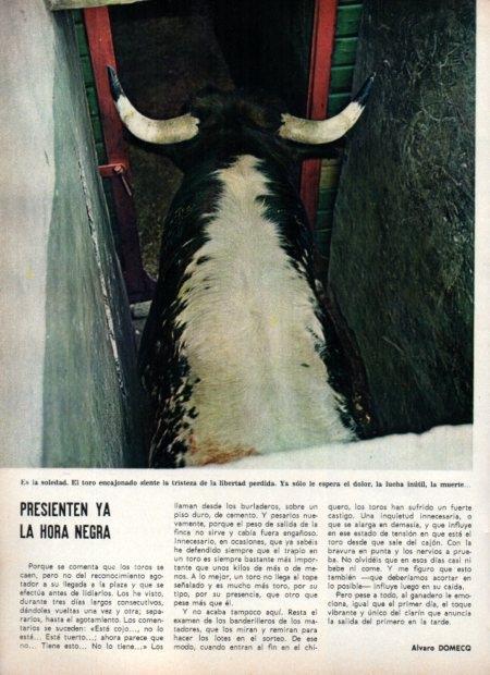 LAMINA V21894: Toro encajonado