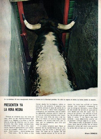 LAMINA V21894: Toro encajonado