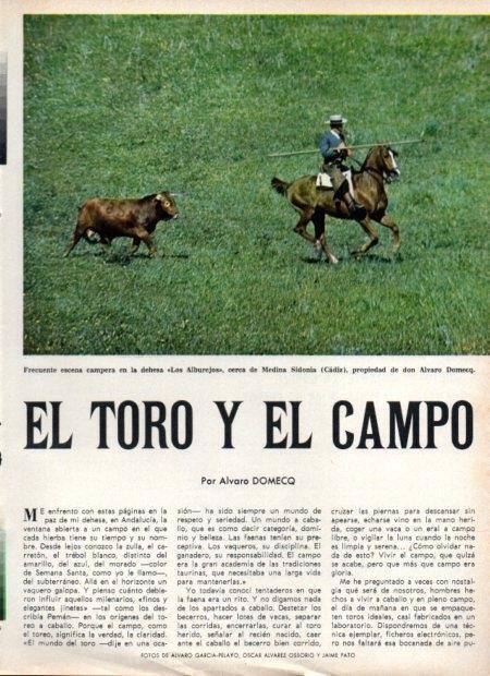LAMINA V21891: Escena campera en Los Alburejos