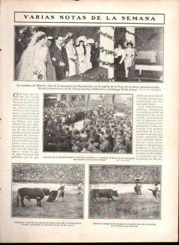 LAMINA V22907: Desponsorio de la condesa del Rincon