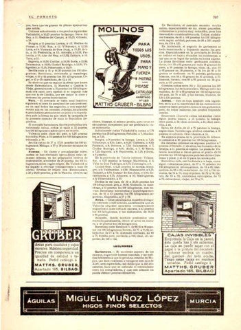 LAMINA V22695: Publicidad Gruber arcas para caudales