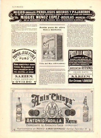 LAMINA V22680: Publicidad Anis Chispa de Antonio Padilla
