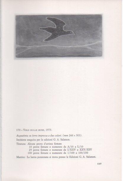 LAMINA V23405: Francesco Casorati. Volo sulle dune