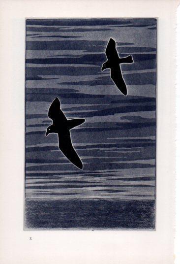 LAMINA V23334: Francesco Casorati. Volo sul mare