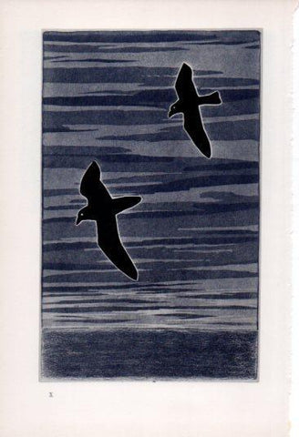 LAMINA V23334: Francesco Casorati. Volo sul mare
