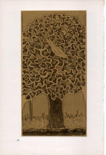 LAMINA V23339: Francesco Casorati. Il grande albero