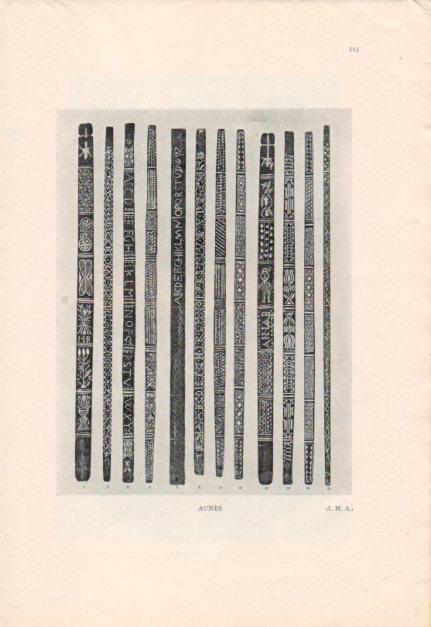 LAMINA V23462: Aunes