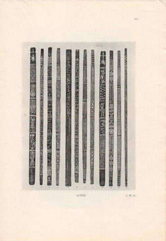 LAMINA V23462: Aunes