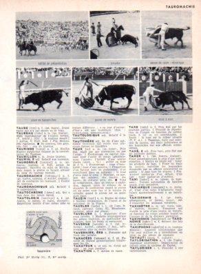 LAMINA V23527: Tauromachie