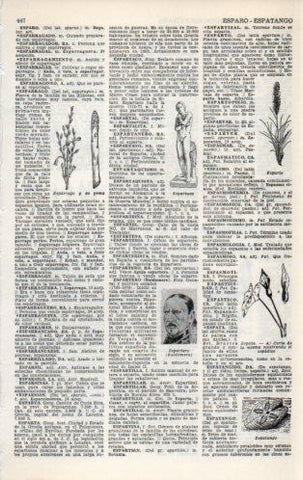 LAMINA V23139: Esparto, espatango y Espartaco