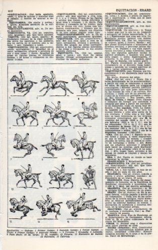 LAMINA V23130: Equitacion