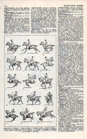 LAMINA V23130: Equitacion
